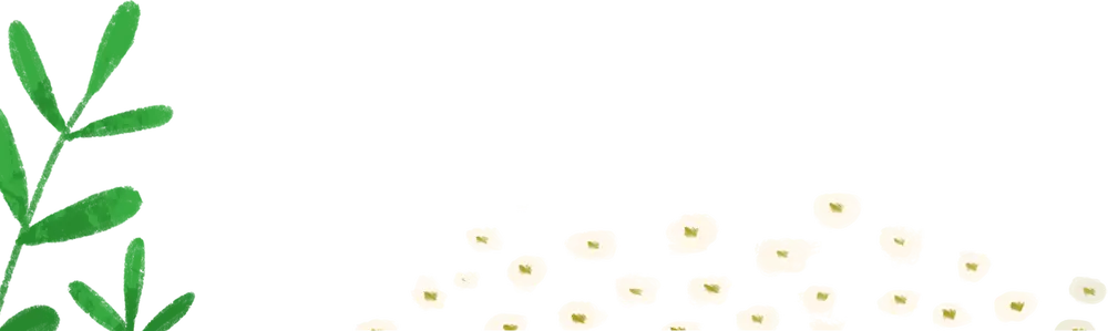 flowers illustration